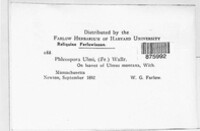 Image Associated With the Occurence